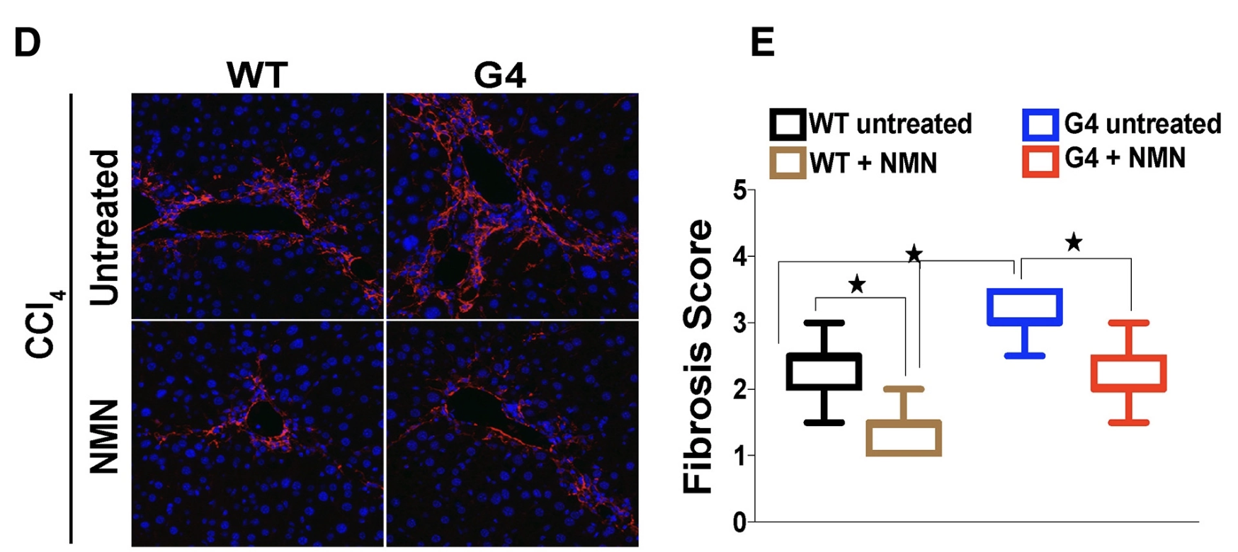 1758191878758086.jpg tIMG405.jpg